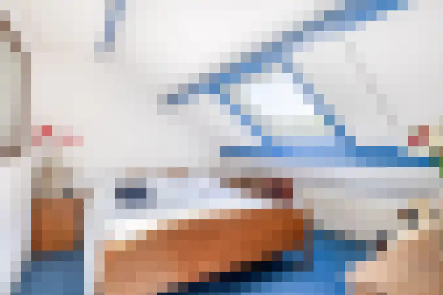 Bergroosstraat 4 Bakel thumbnail 41