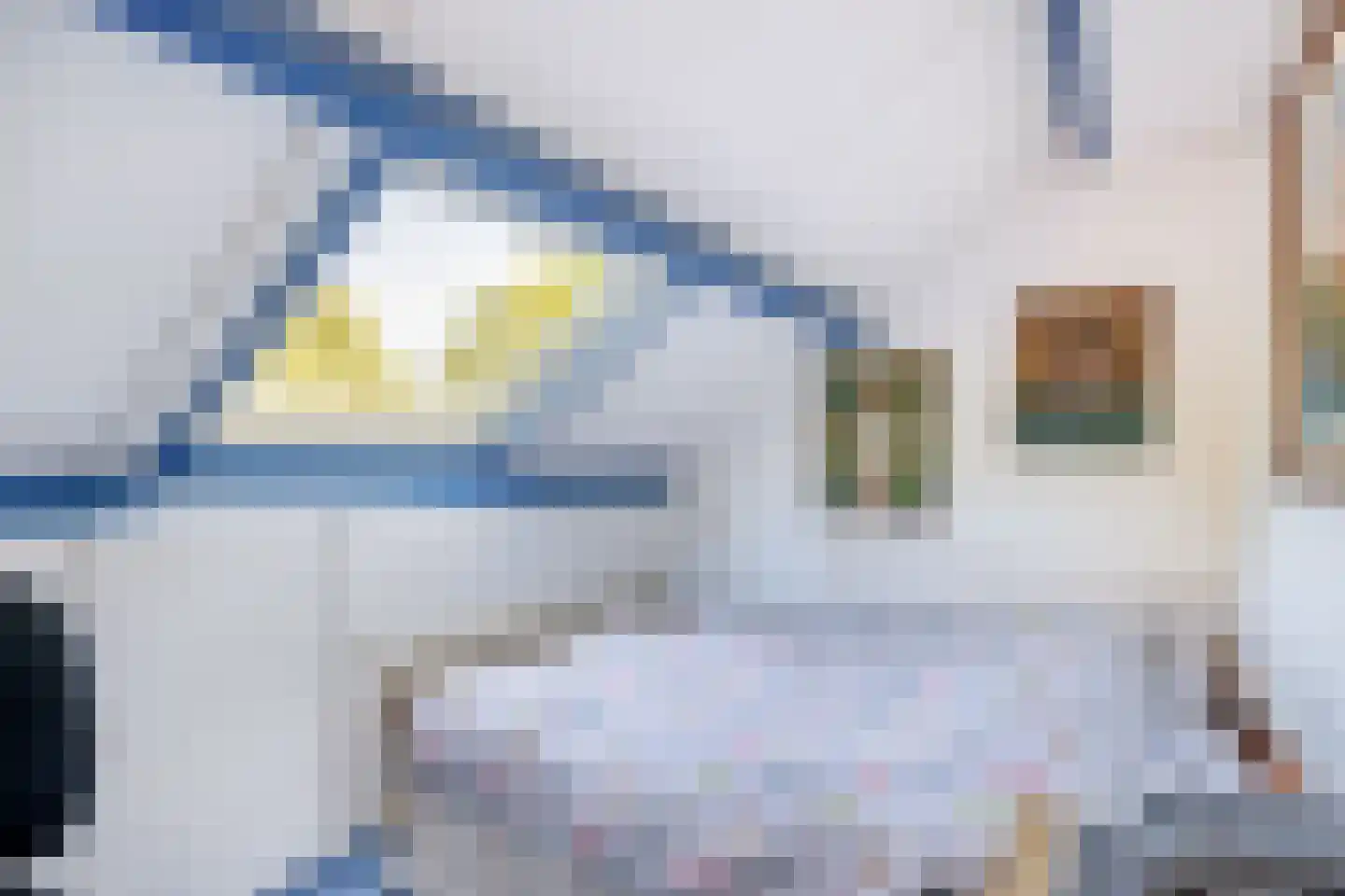 Bergroosstraat 4 Bakel thumbnail 42