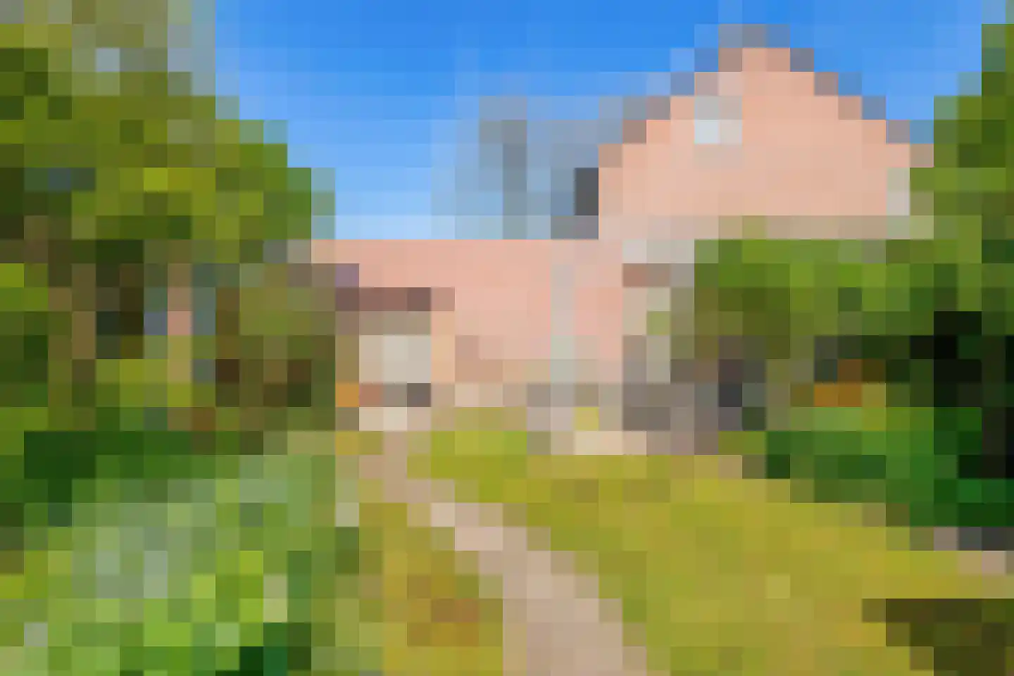 Bergroosstraat 4 Bakel thumbnail 46