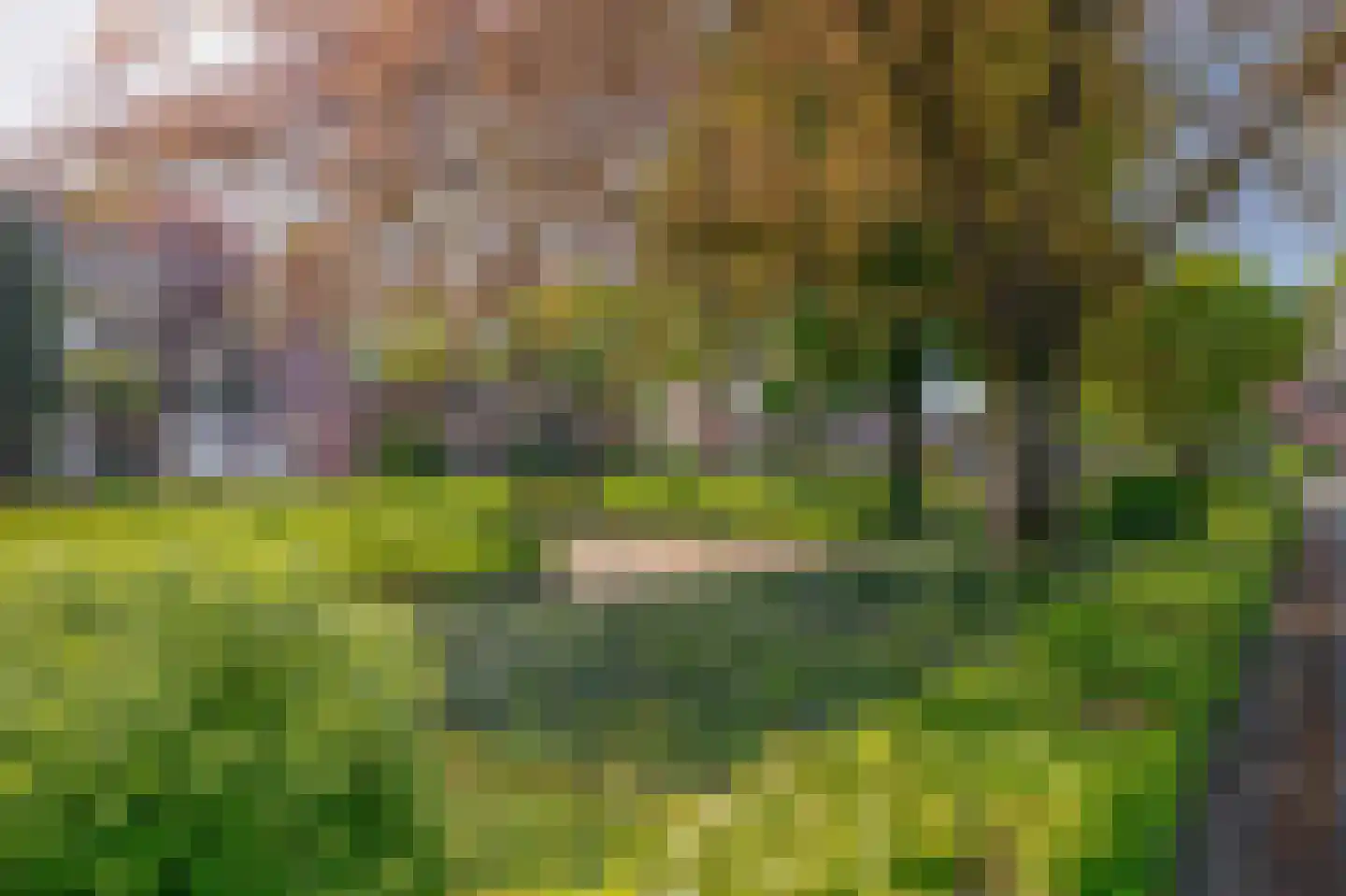 Bergroosstraat 4 Bakel thumbnail 49
