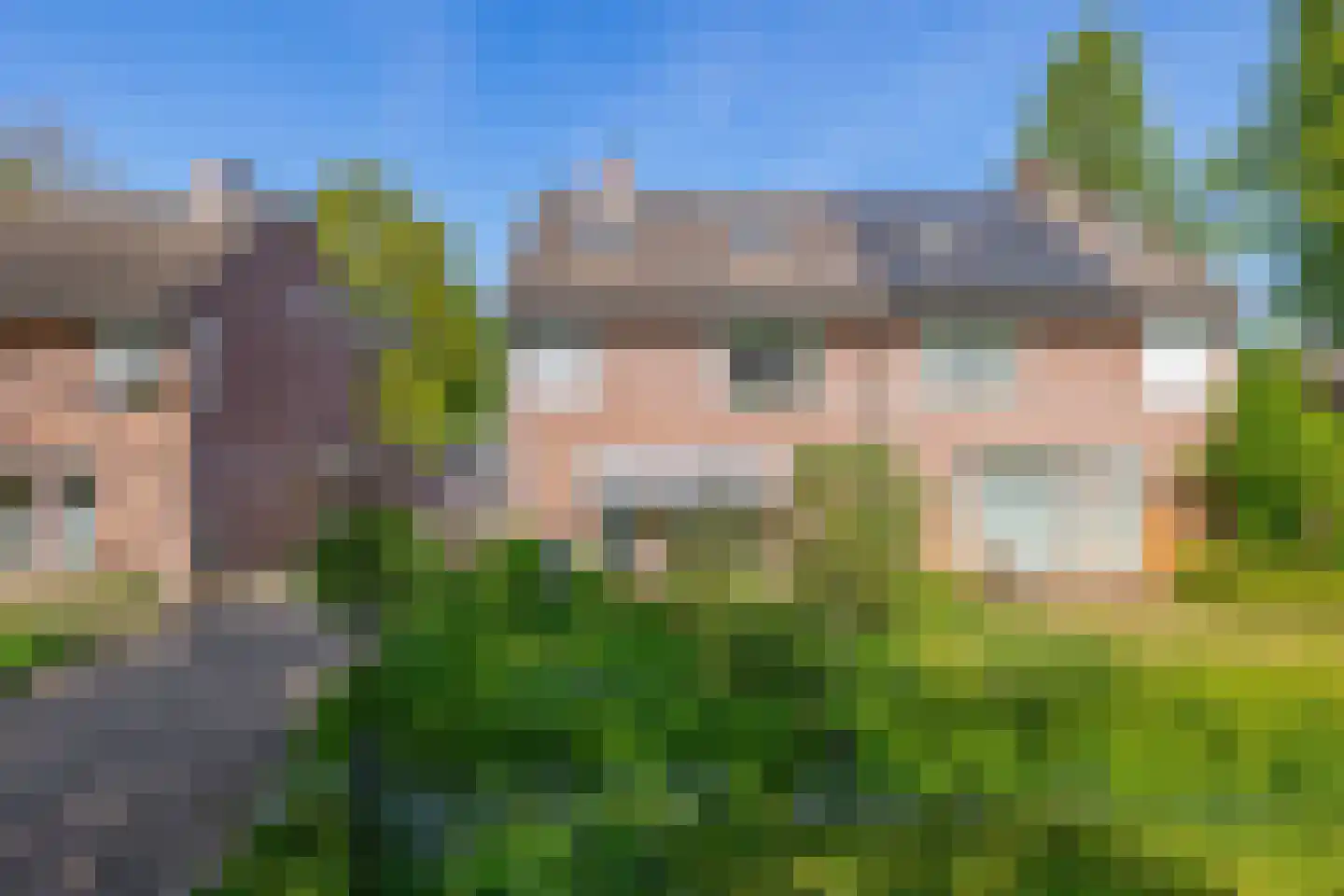 Bergroosstraat 4 Bakel thumbnail 6