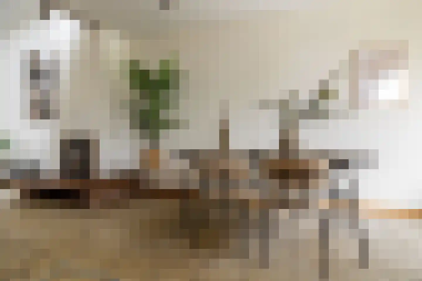 Bergschot 27 Breda thumbnail 15
