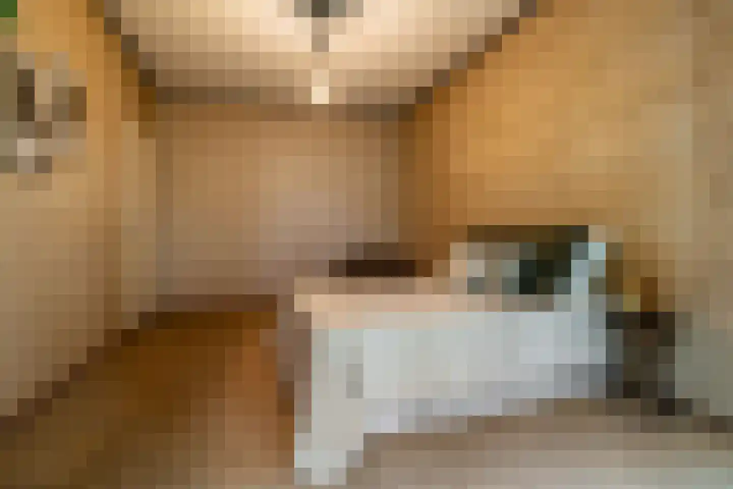 Bergschot 27 Breda thumbnail 29