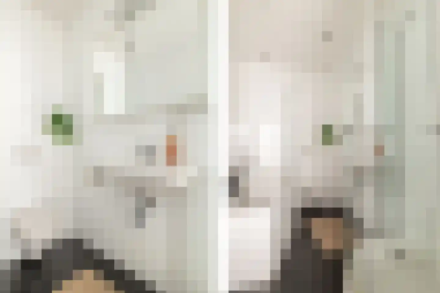 Bergschot 27 Breda thumbnail 32