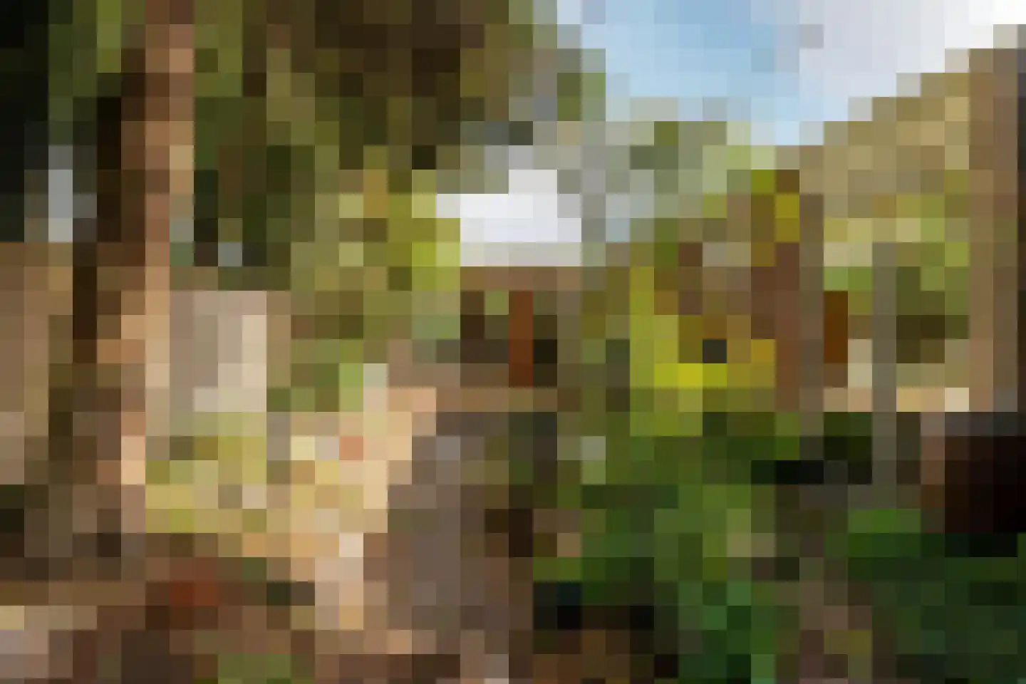 Bergschot 27 Breda thumbnail 35