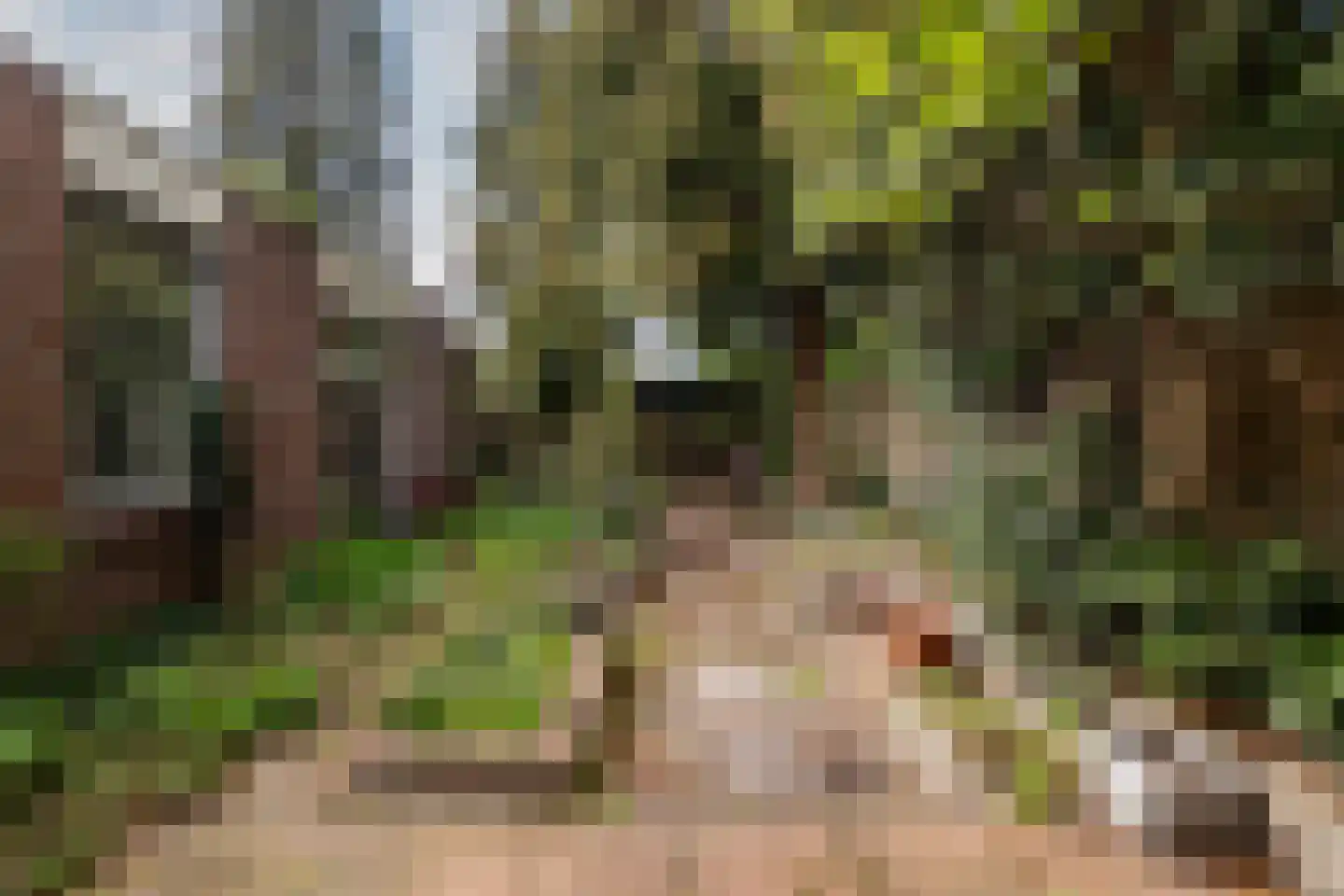 Bergschot 27 Breda thumbnail 36