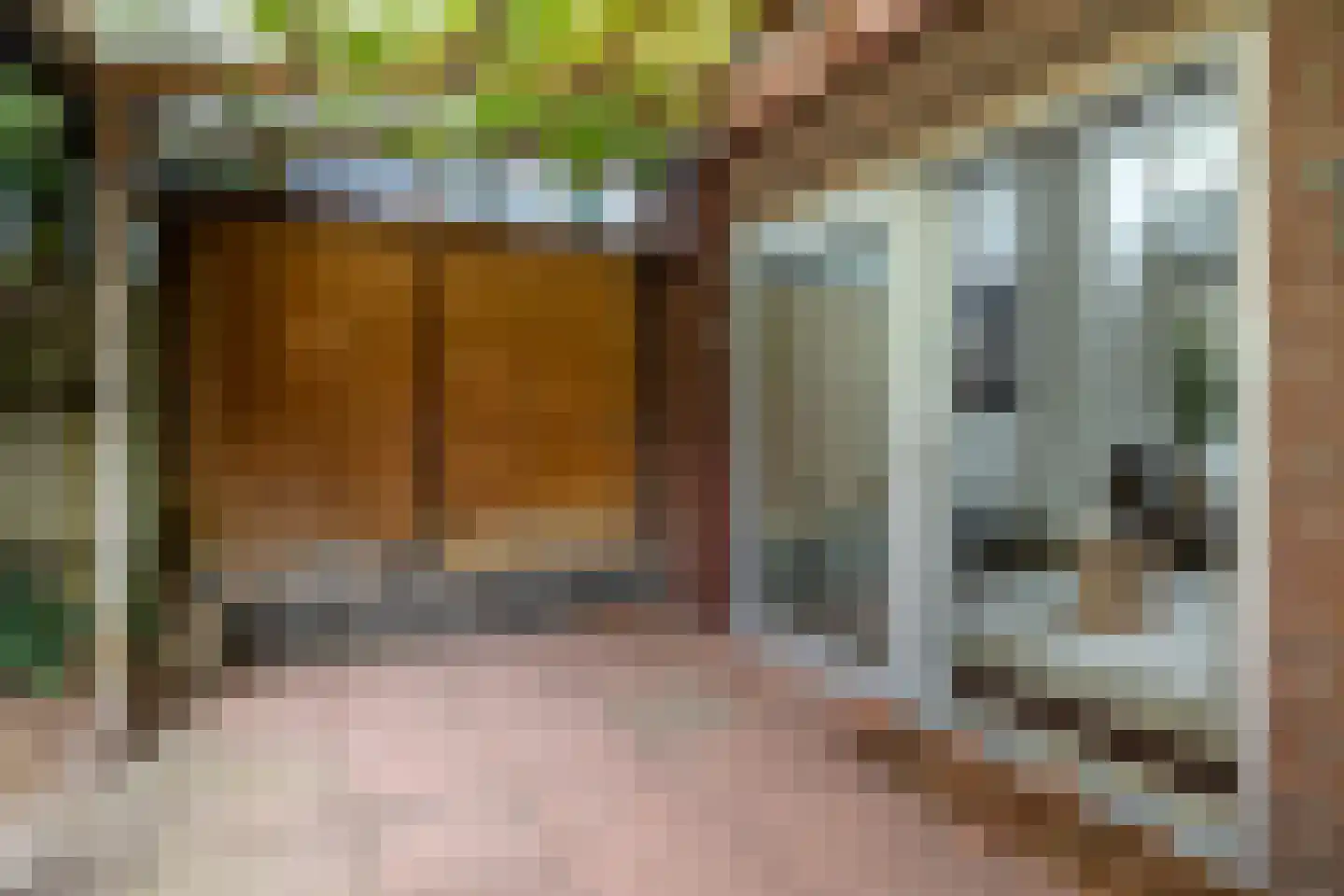Bergschot 27 Breda thumbnail 38