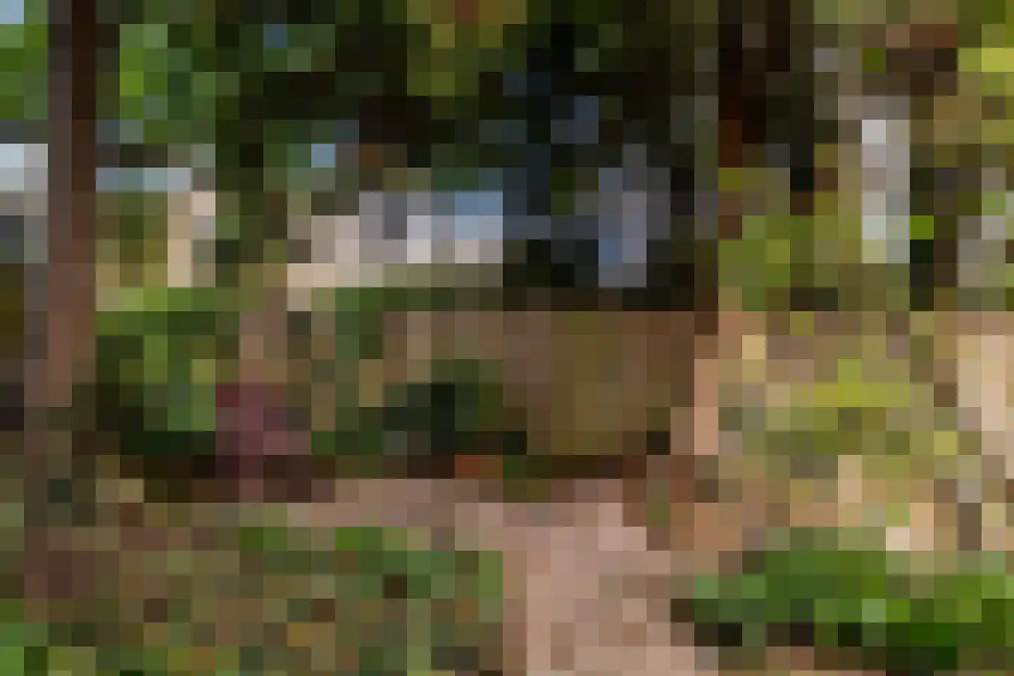 Bergschot 27 Breda thumbnail 39