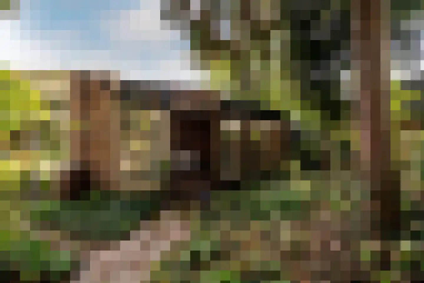 Bergschot 27 Breda thumbnail 40
