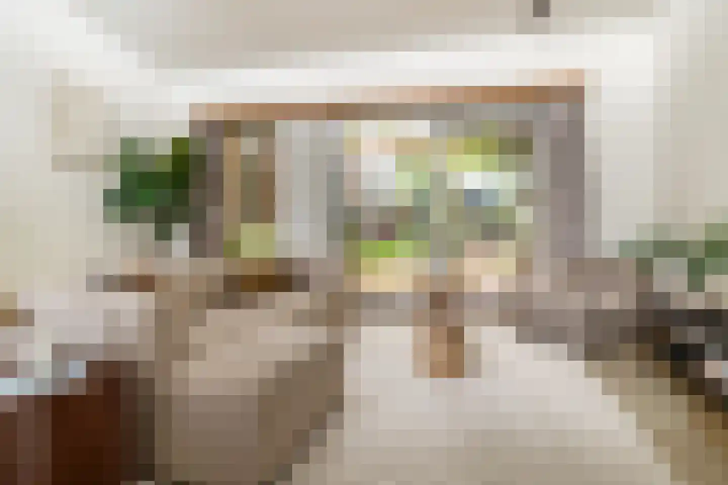 Bergschot 27 Breda thumbnail 9