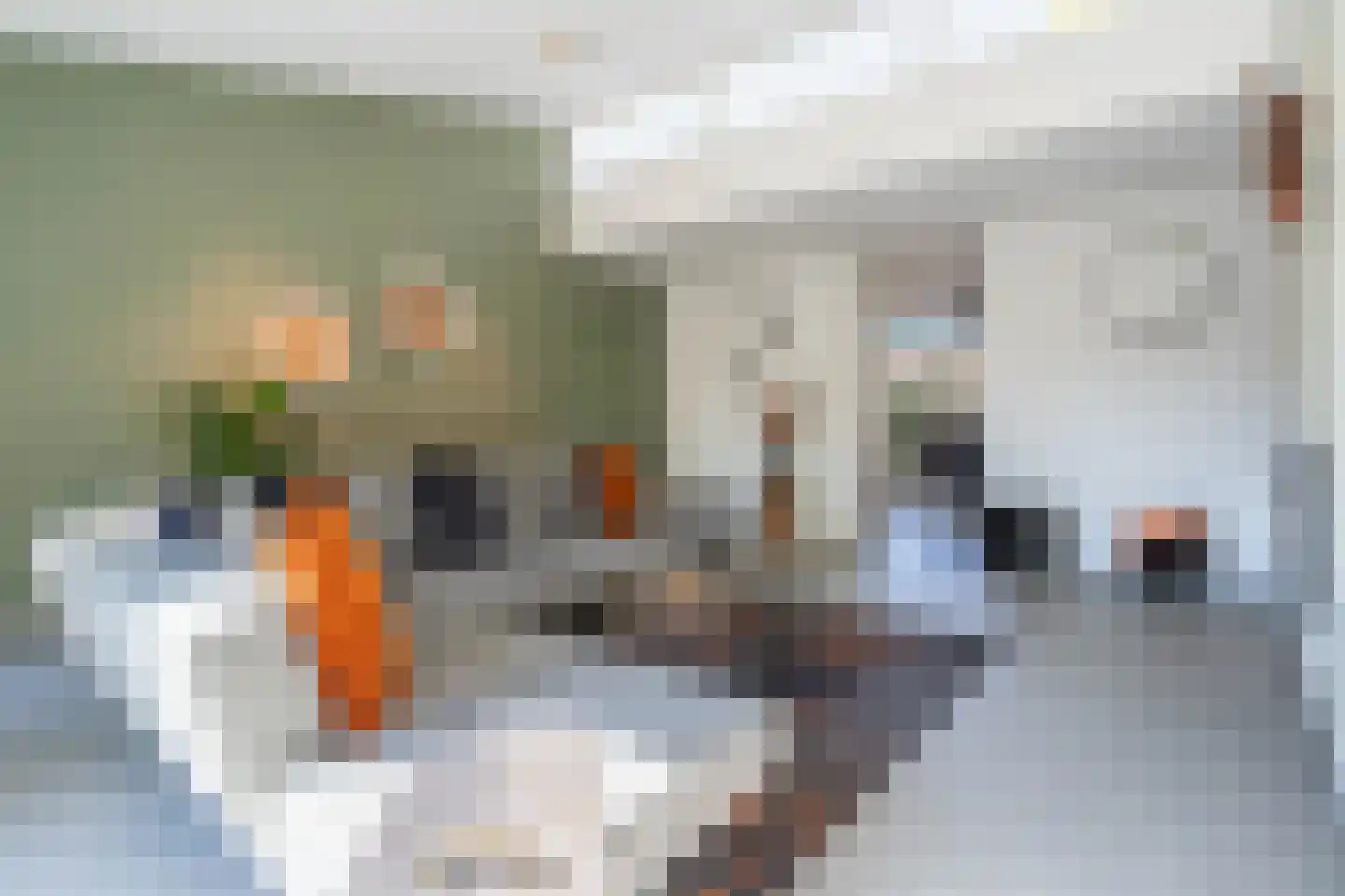 Bergschot 29 Breda thumbnail 10