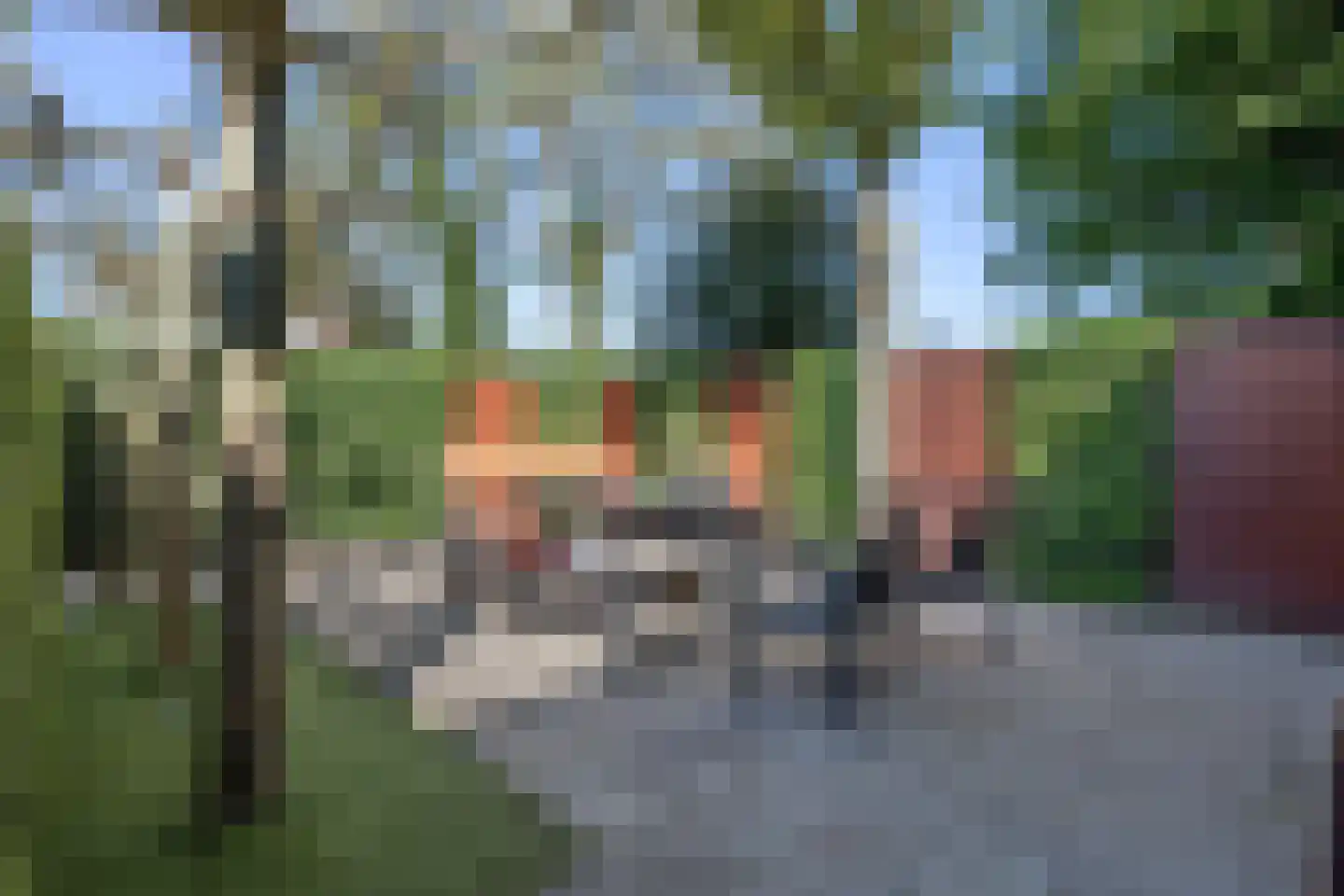 Bergschot 29 Breda thumbnail 22