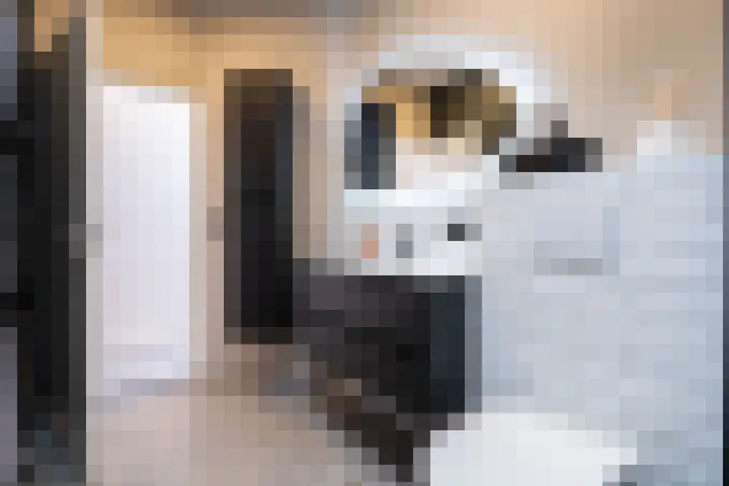 Bergschot 29 Breda thumbnail 27