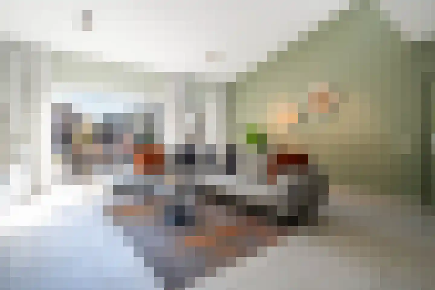 Bergschot 29 Breda thumbnail 8