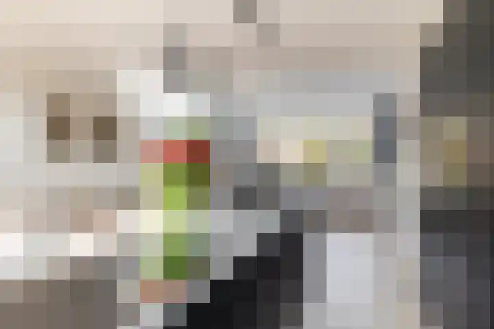 Bergschot 35 Breda thumbnail 10