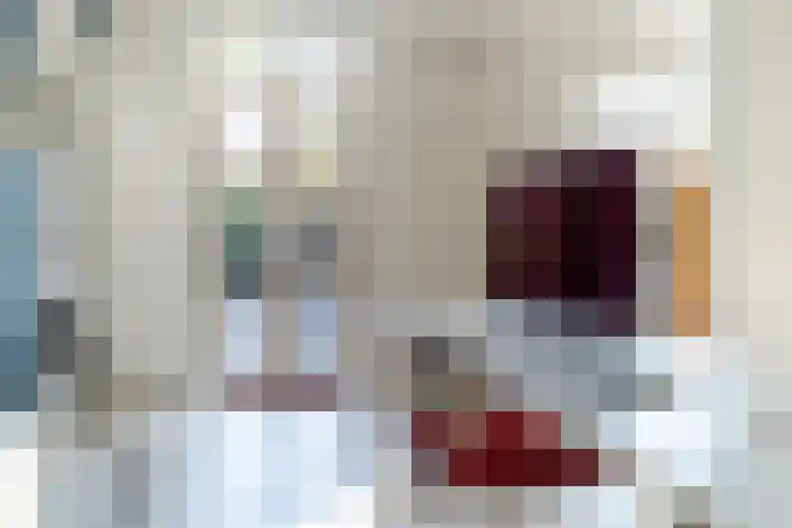 Bergschot 35 Breda thumbnail 15