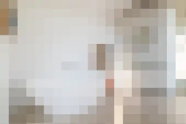 Bergschot 35 Breda thumbnail 22