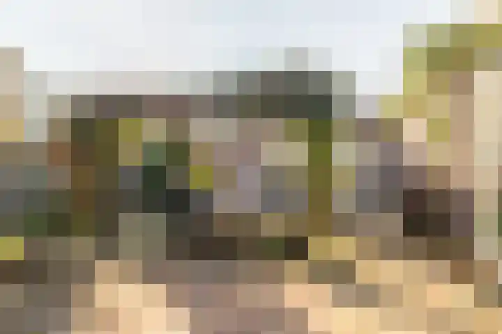 Bergschot 35 Breda thumbnail 28
