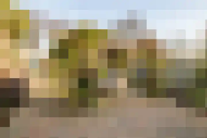 Bergschot 35 Breda thumbnail 29