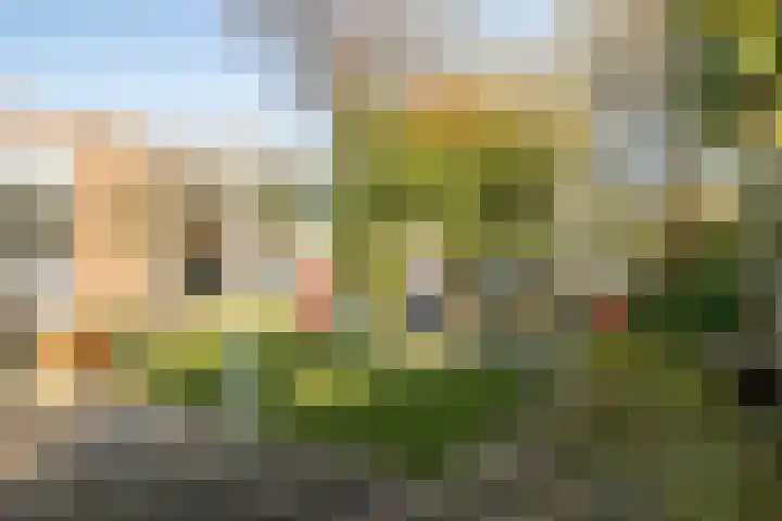 Bergschot 35 Breda thumbnail 31