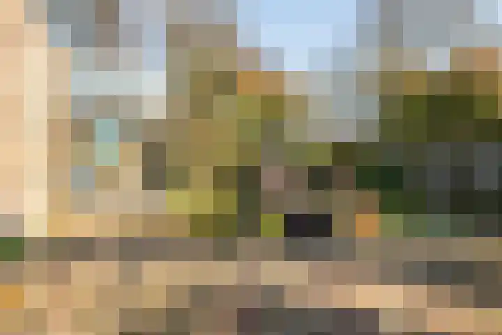 Bergschot 35 Breda thumbnail 32