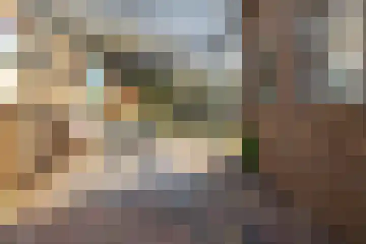 Bergschot 35 Breda thumbnail 33