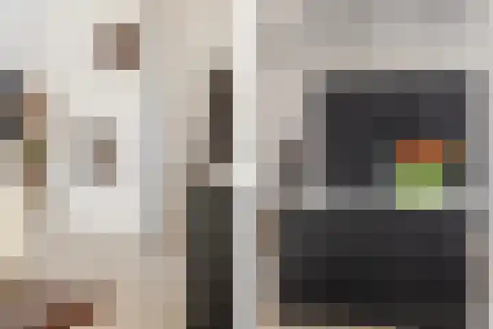 Bergschot 35 Breda thumbnail 9