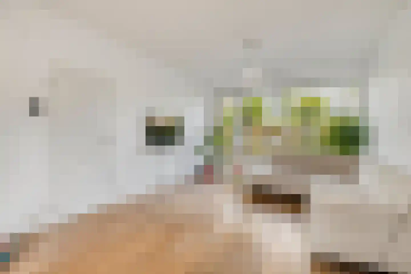 Bergschot 408 Breda thumbnail 10