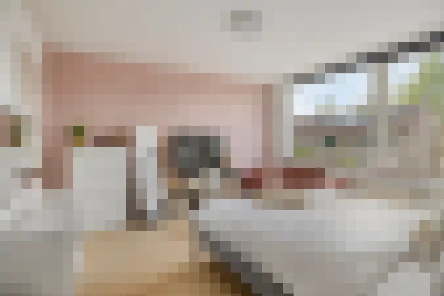 Bergschot 408 Breda thumbnail 20