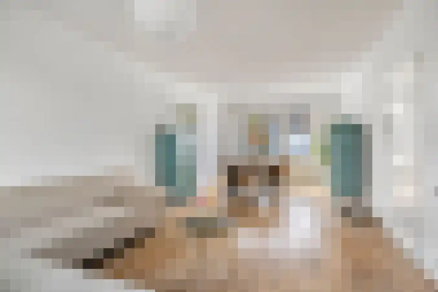Bergschot 408 Breda thumbnail 9