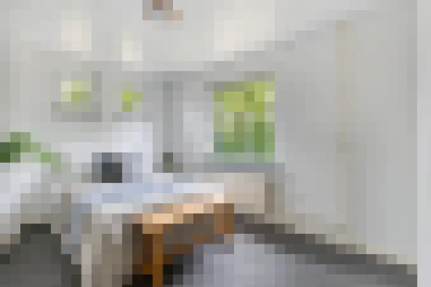 Bergse Heide 1 Bergen L thumbnail 18