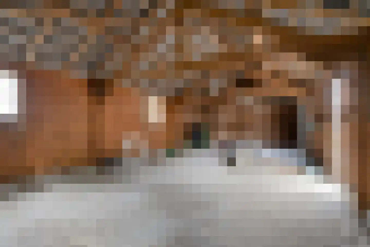 Bergse Heide 1 Bergen L thumbnail 25