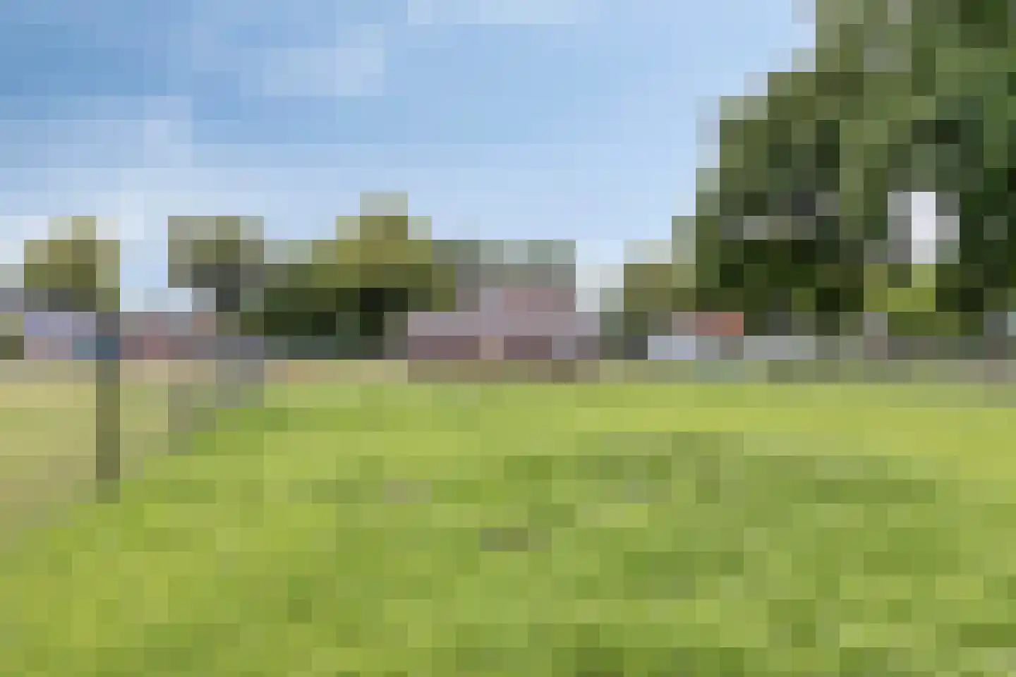 Bergse Heide 1 Bergen L thumbnail 27