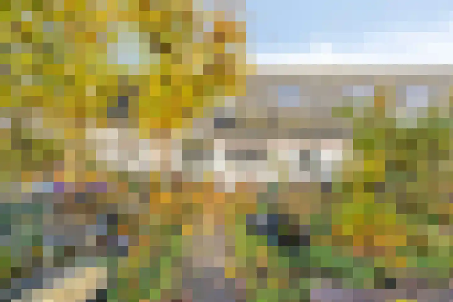 Bergse Heide 4 Bergen L thumbnail 47