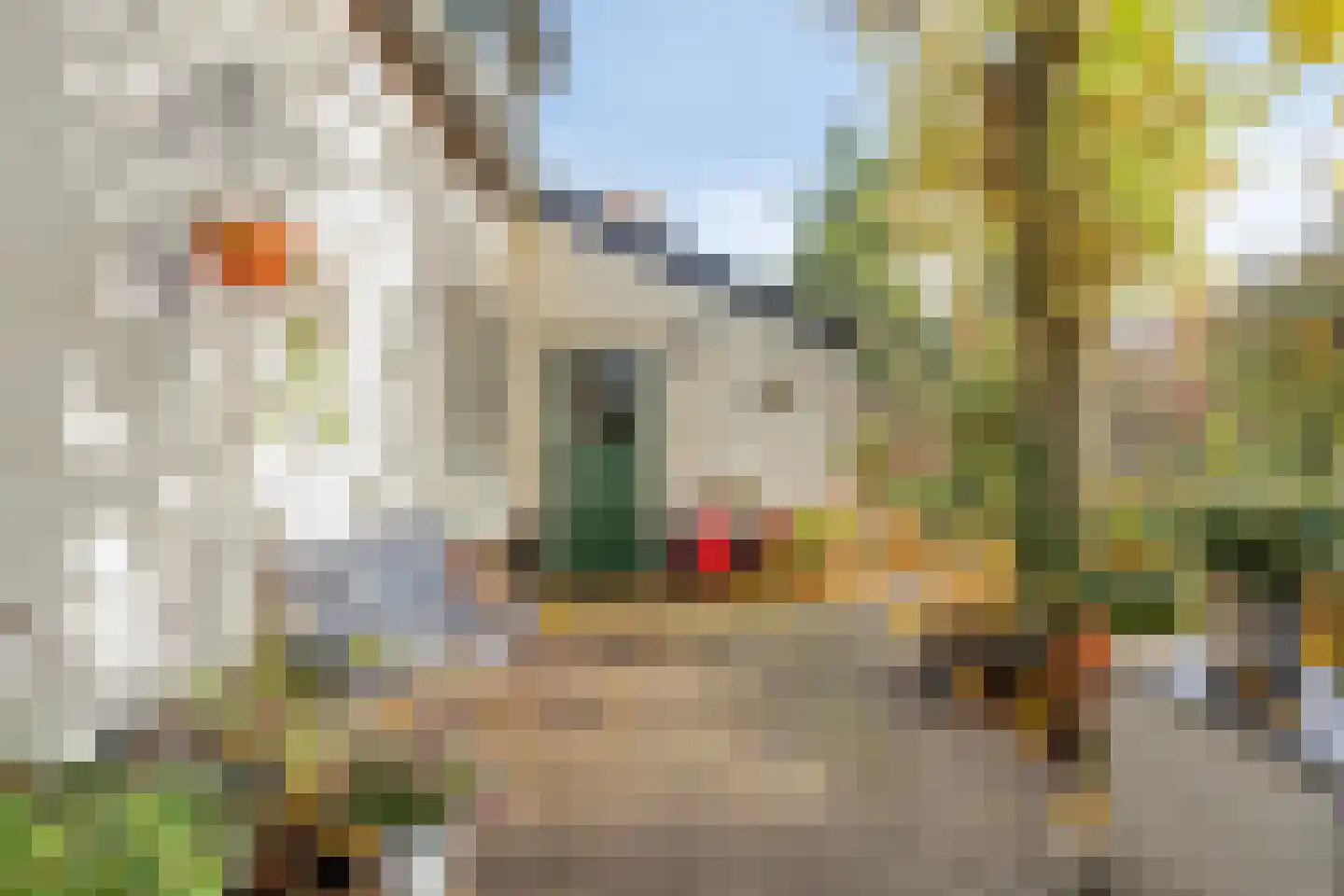 Bergse Heide 4 Bergen L thumbnail 50