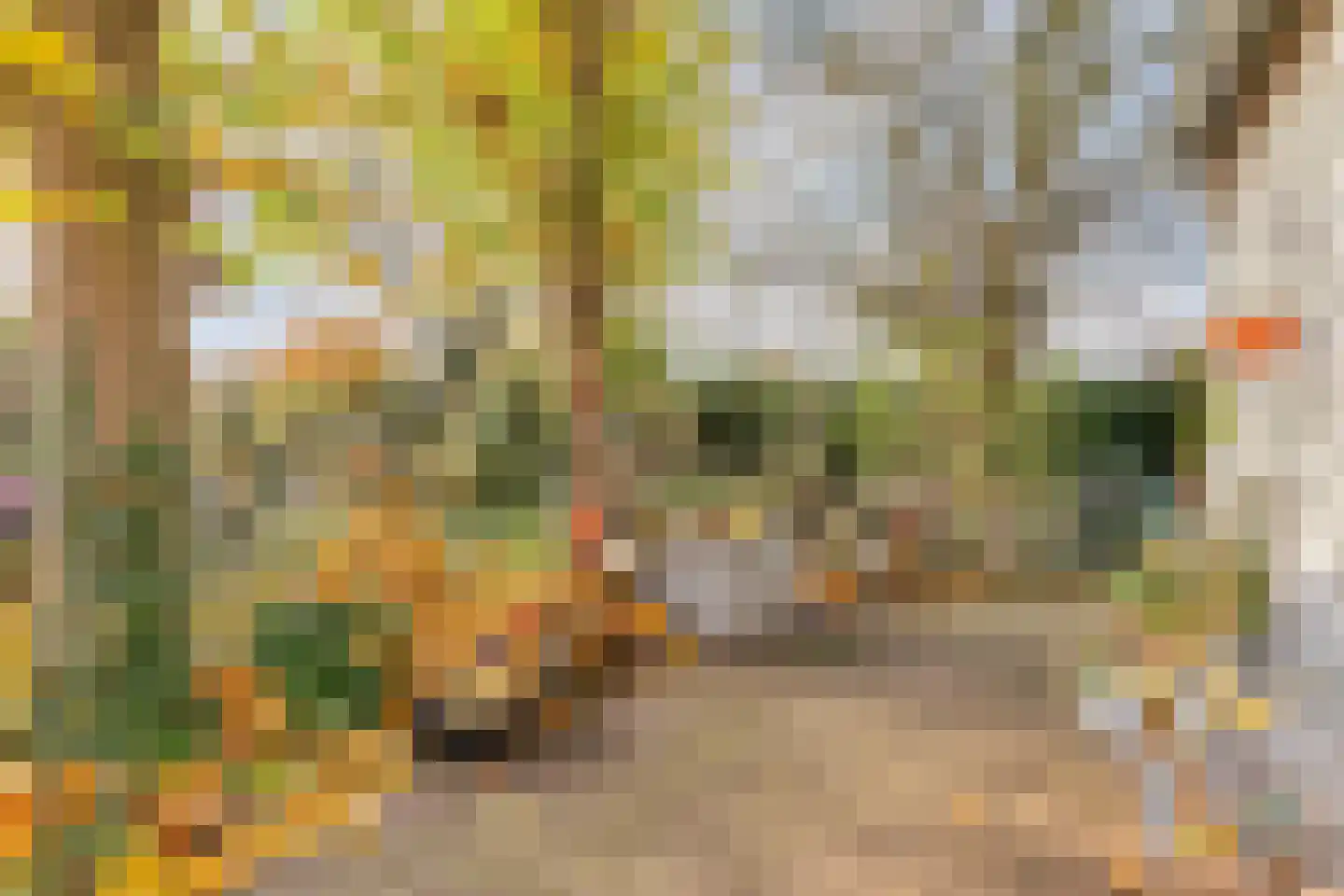 Bergse Heide 4 Bergen L thumbnail 51