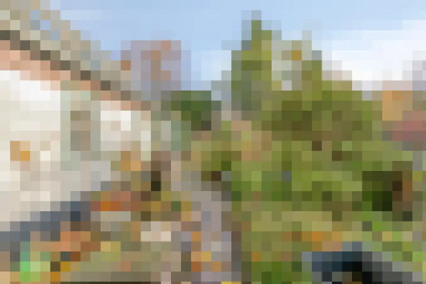 Bergse Heide 4 Bergen L thumbnail 53