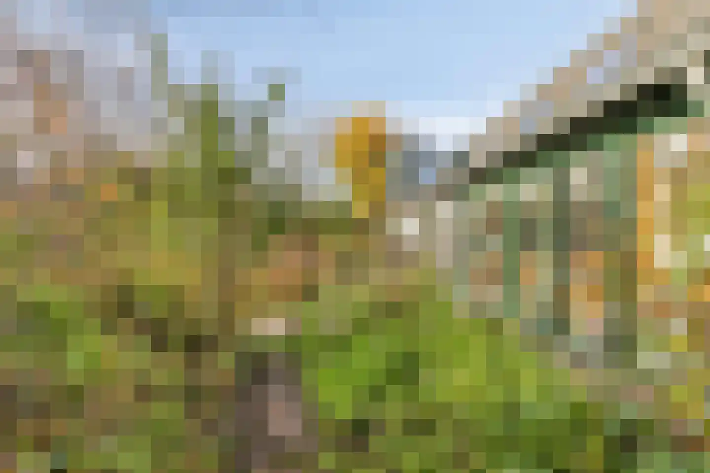 Bergse Heide 4 Bergen L thumbnail 54