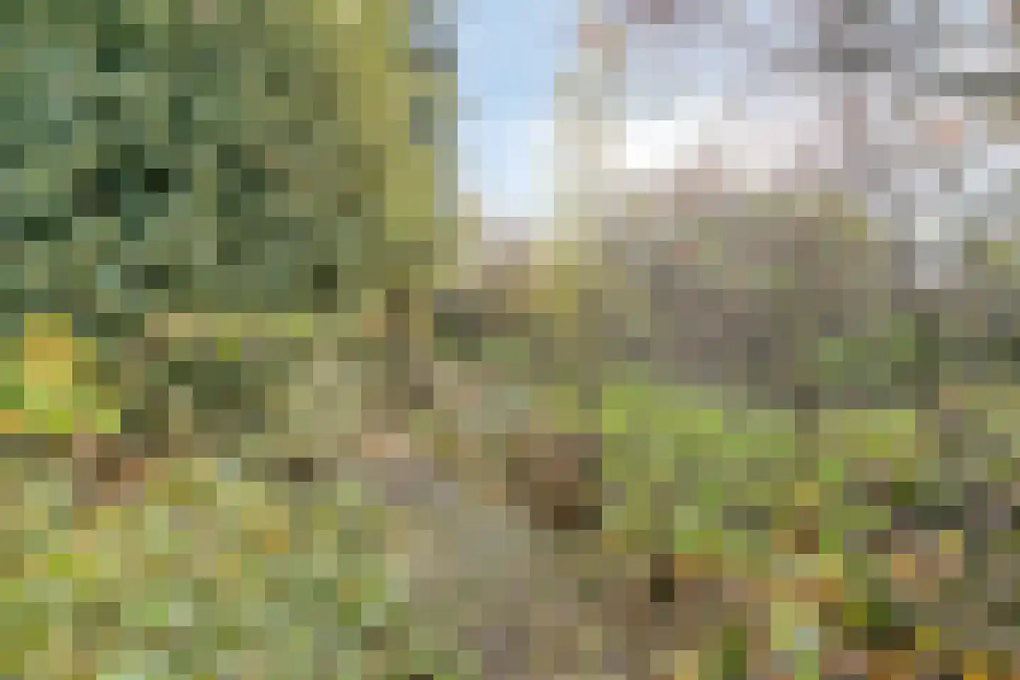 Bergse Heide 4 Bergen L thumbnail 55
