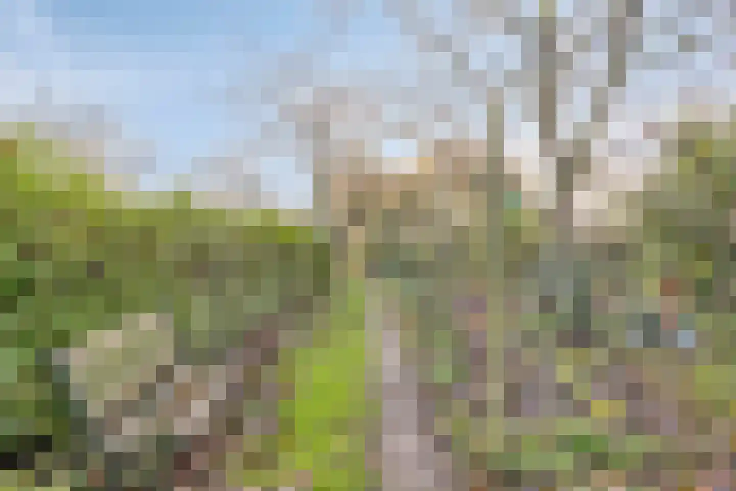 Bergse Heide 4 Bergen L thumbnail 56