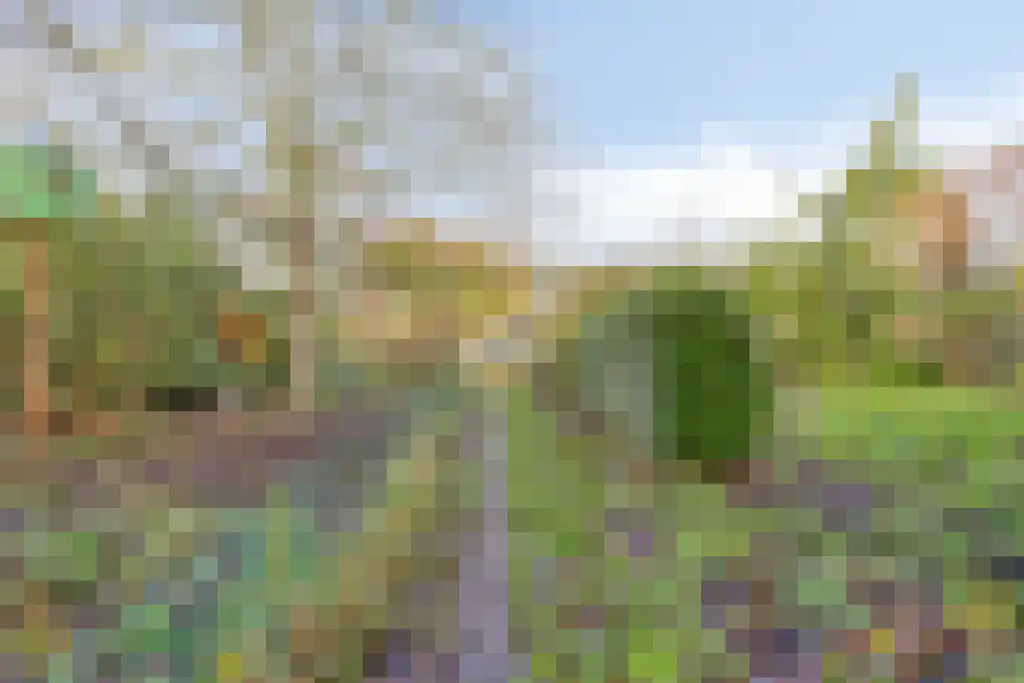 Bergse Heide 4 Bergen L thumbnail 57