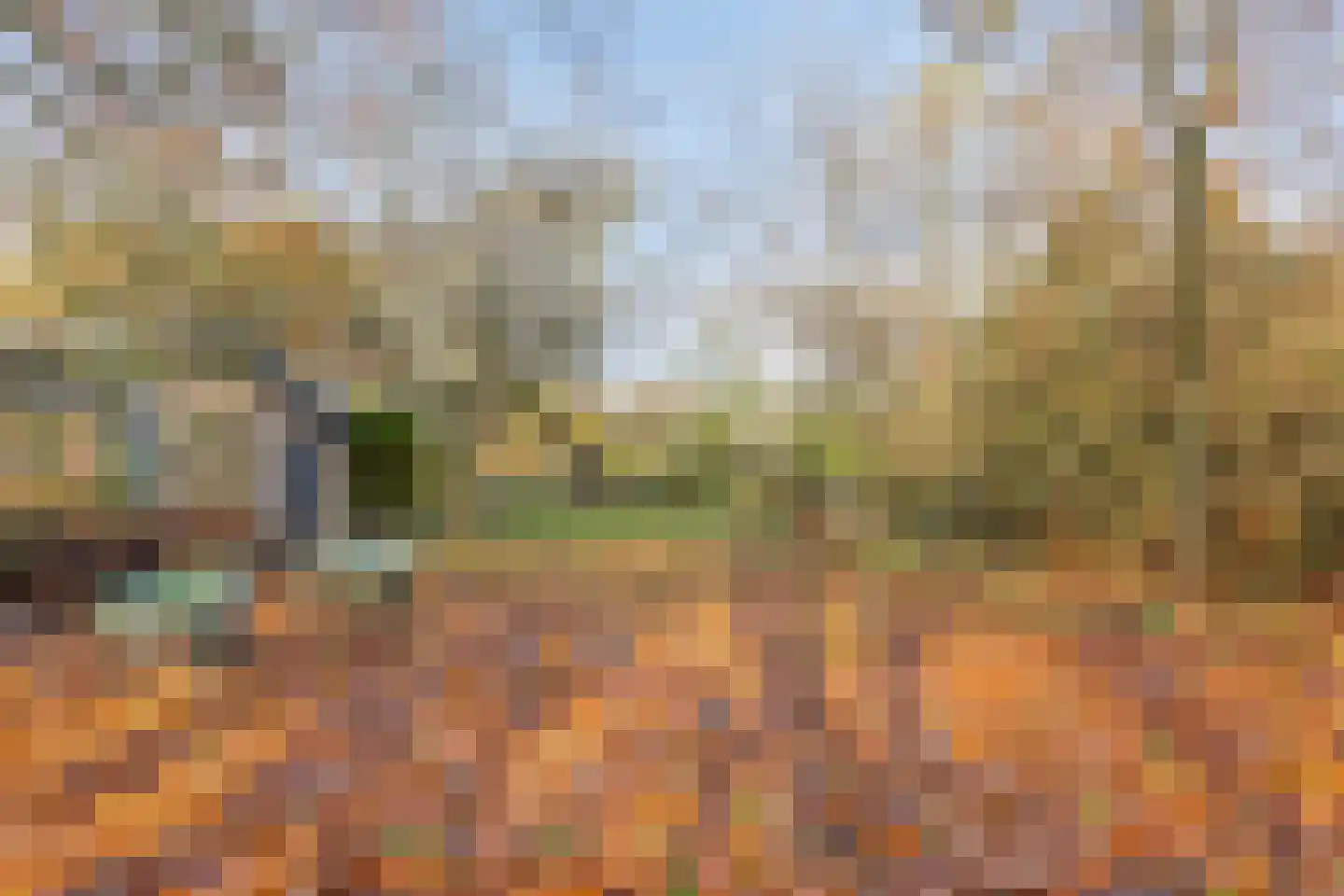 Bergse Heide 4 Bergen L thumbnail 58