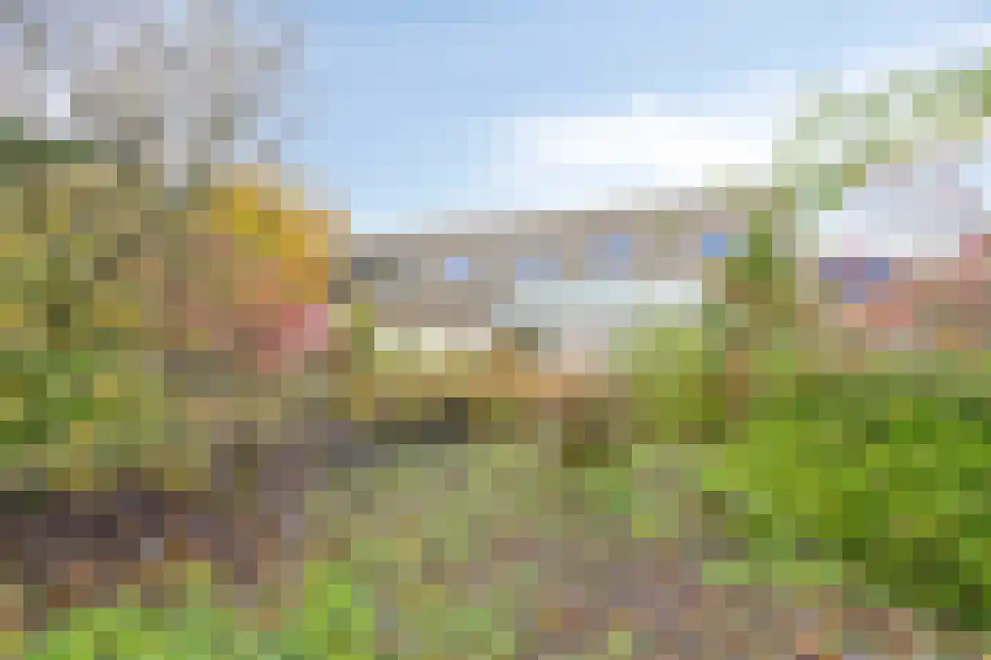 Bergse Heide 4 Bergen L thumbnail 59