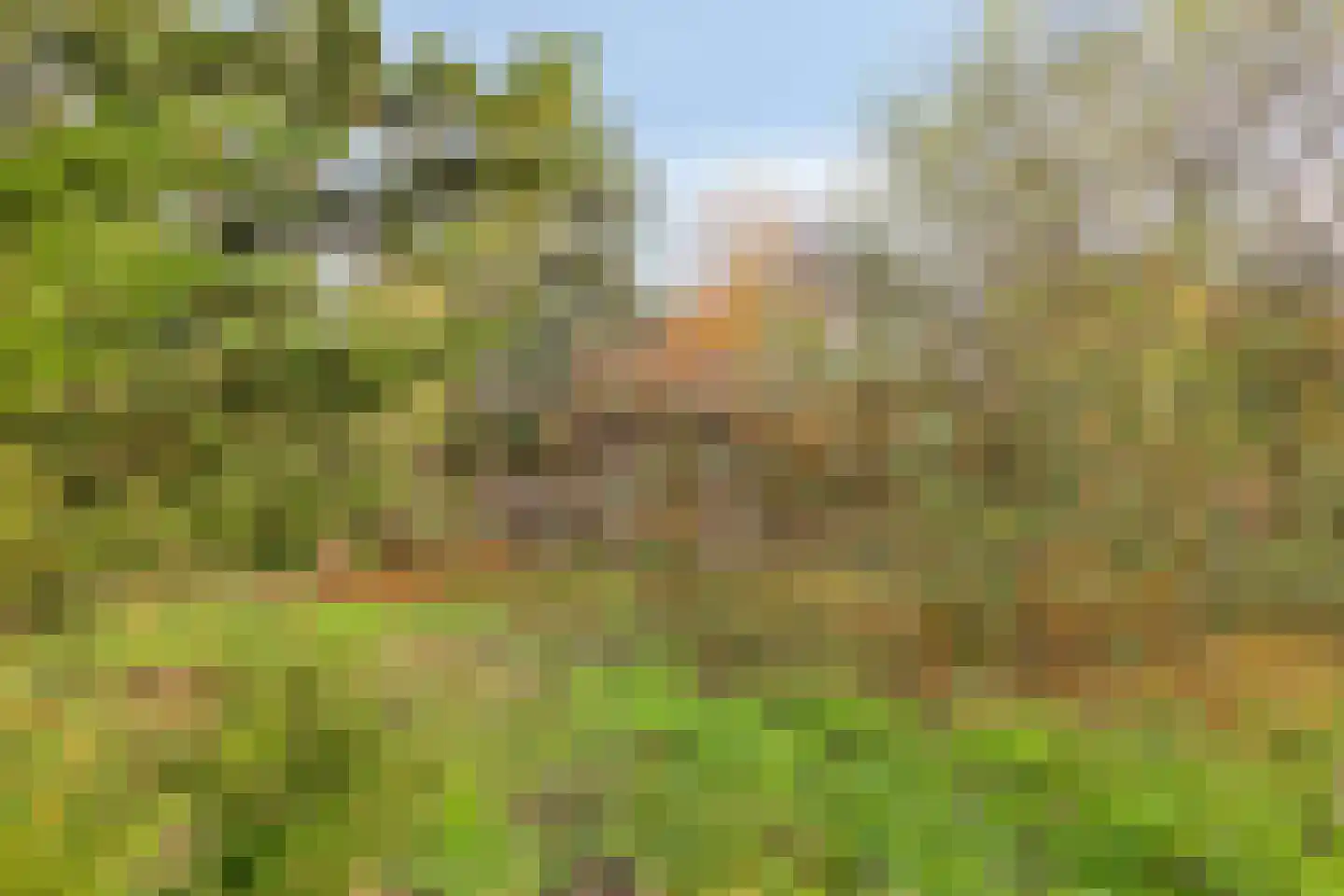 Bergse Heide 4 Bergen L thumbnail 60