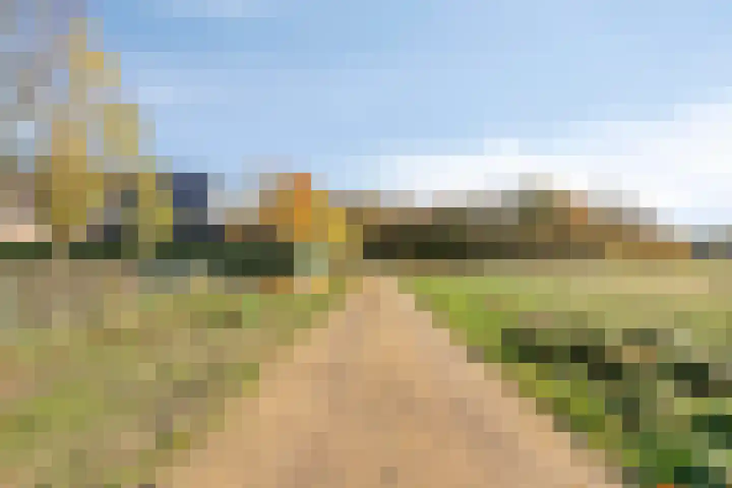 Bergse Heide 4 Bergen L thumbnail 64