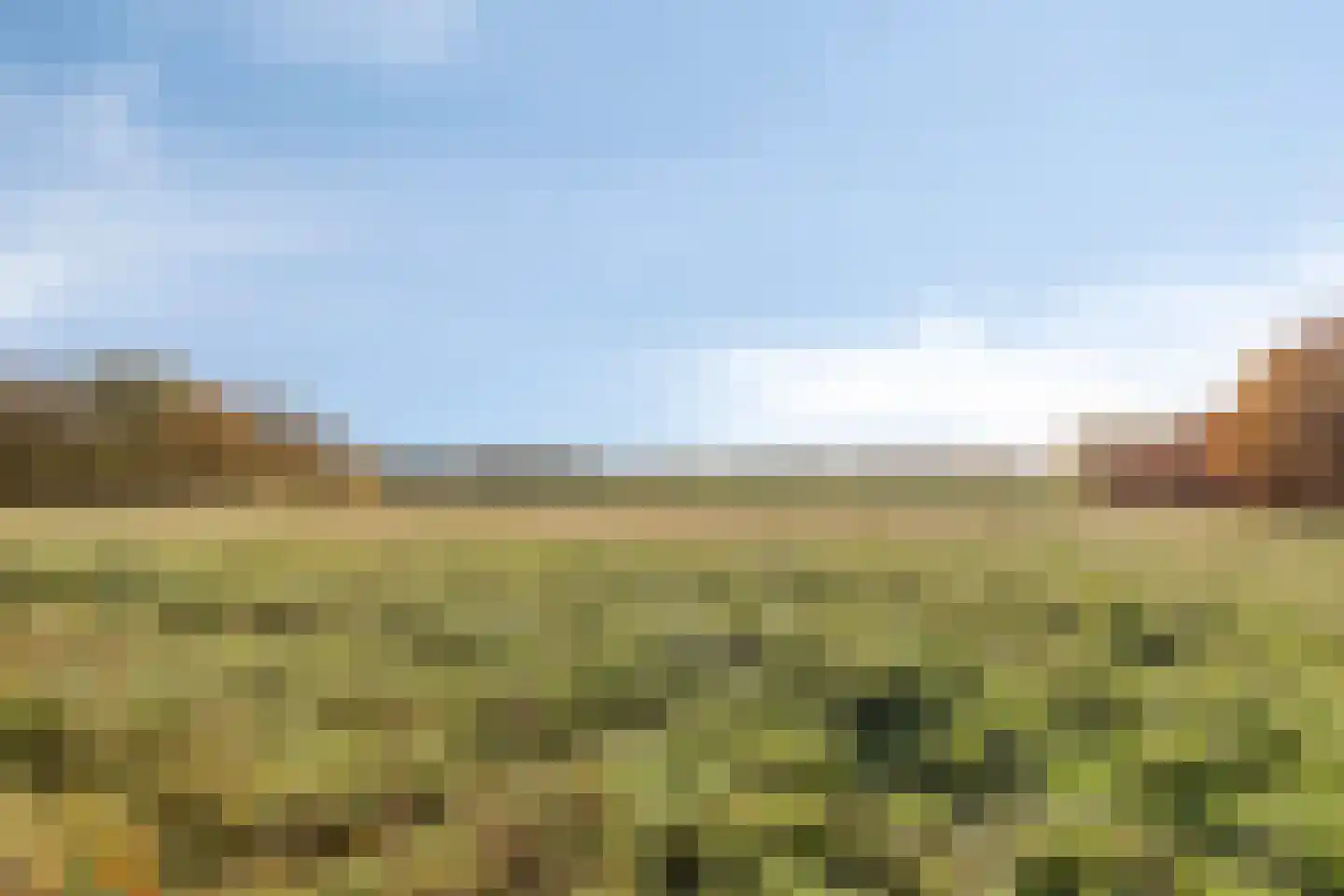 Bergse Heide 4 Bergen L thumbnail 65