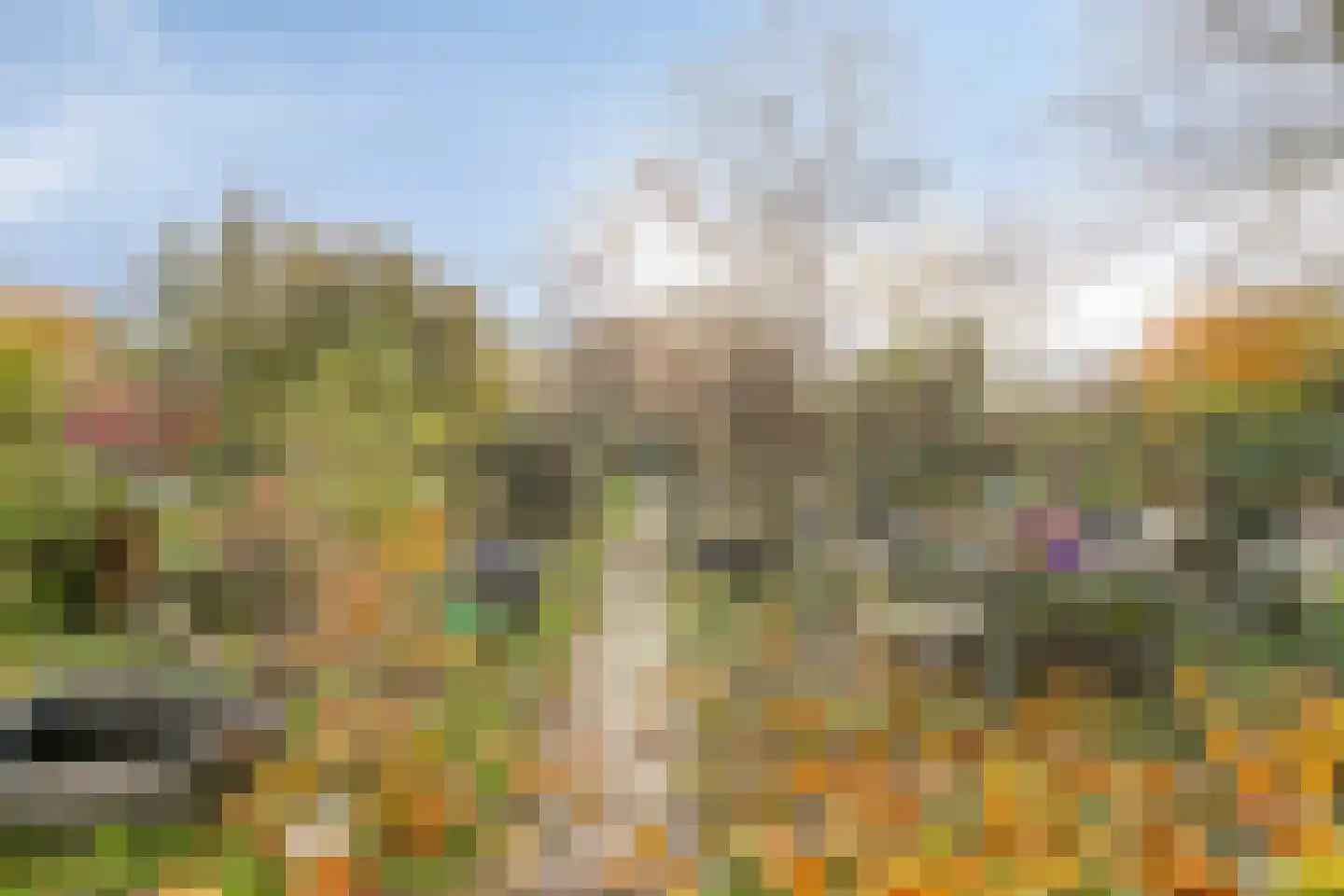 Bergse Heide 4 Bergen L thumbnail 7