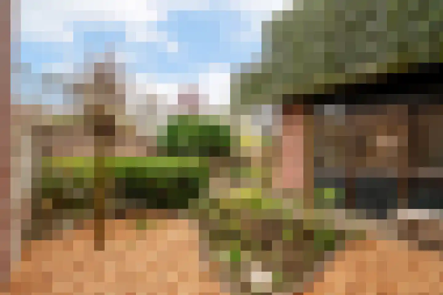 Bergse Heihoek 6 Berghem thumbnail 23