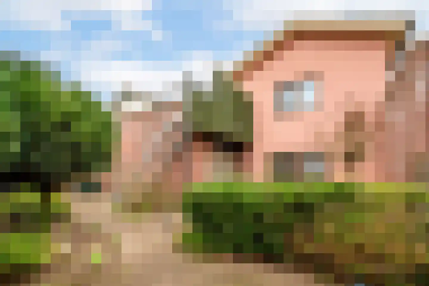 Bergse Heihoek 6 Berghem thumbnail 24