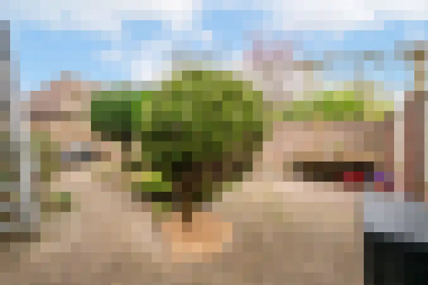 Bergse Heihoek 6 Berghem thumbnail 25